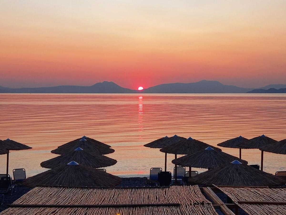 Sea Διαμέρισμα *